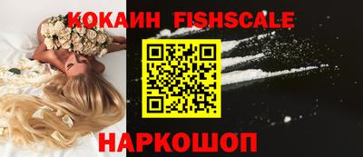 СК Кингисепп