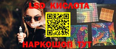СК Кингисепп