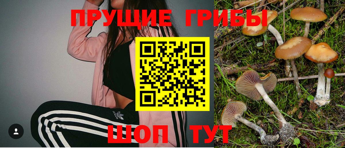 Азов  Псилоцибиновые грибы прущие грибы  Вход с VPN 